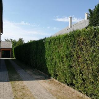 Ticiano Vendégház, 4 szoba 9 férőhely