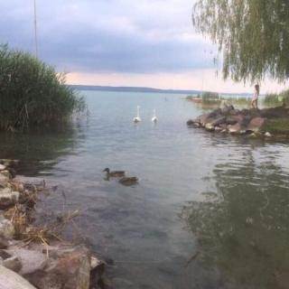 Hársfa Apartman, 1 apartman 5 férőhely