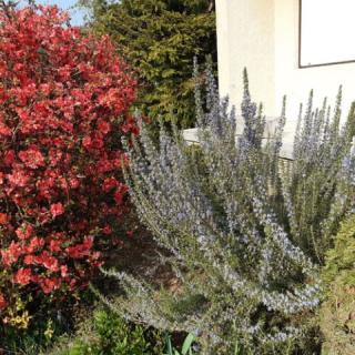 Hello Vonyarc Vendégház, 2 szoba 5 férőhely