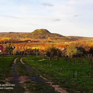 Ágnes Almái Présház, 3 szoba 4 férőhely