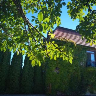 Kis Helikon Villa, 15 szoba 30 férőhely