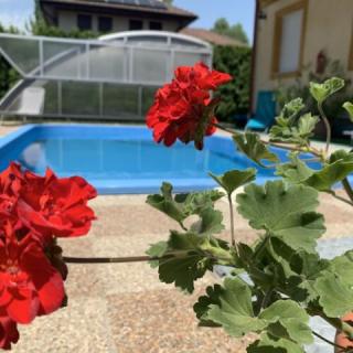 Orgona Prémium Apartmanház, 5 apartman 25 férőhely