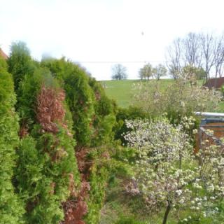 Labdarózsa Apartmanház, 2 apartman 11 férőhely