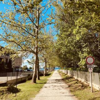 Mimi Apartments, 5 apartman 18 férőhely