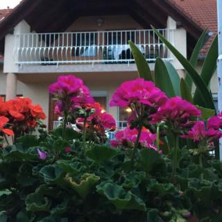 Janos#039;s Home of, 1 apartman 6 férőhely