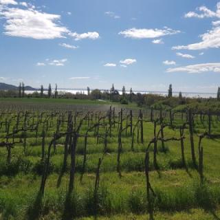 Villa Bella Vista Vendégház, 4 szoba 10 férőhely