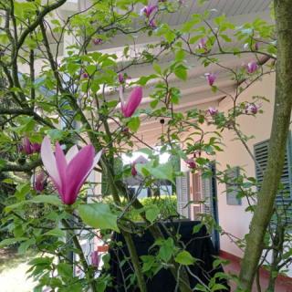 Oliva Hotel, 3 szoba 7 férőhely