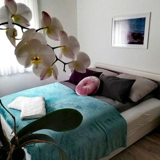 Happy Apartments, 6 apartman 22 férőhely