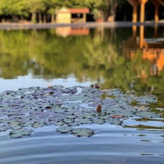 Party Apartmanház, 5 szoba 14 férőhely