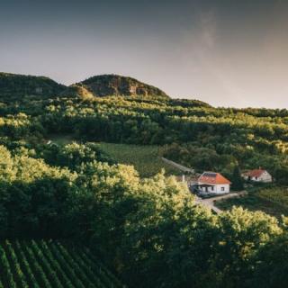 Fata Birtok Vendégház, 4 szoba 8 férőhely