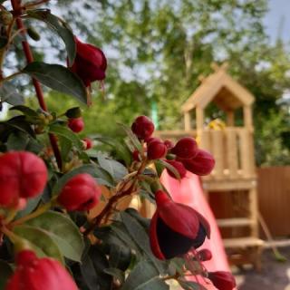 Liget Studio Apartman, 1 apartman 2 férőhely