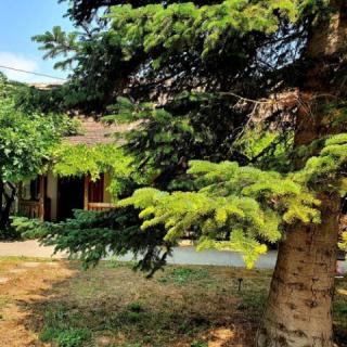 Garden Apartments, 4 apartman 16 férőhely