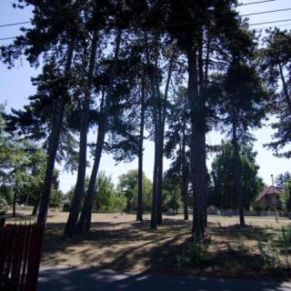 Ligetszépe Villa, 2 szoba 8 férőhely