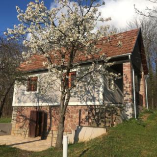 Berkenyés Házikó, 1 szoba 2 férőhely