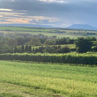 Berkenyés Házikó, 1 szoba 2 férőhely