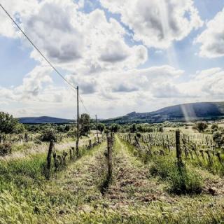 Kisbalázs Vendégház, 2 szoba 4 férőhely