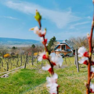 Szívecske Ház, 2 szoba 4 férőhely