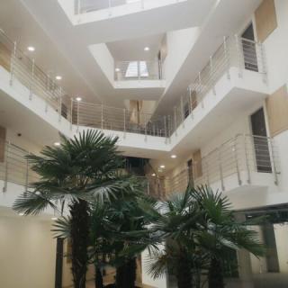 New Modern Apartment Lotusblüte, 1 apartman 4 férőhely