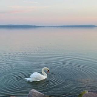 Luna Rossa Boutique Apartman, 1 apartman 4 férőhely