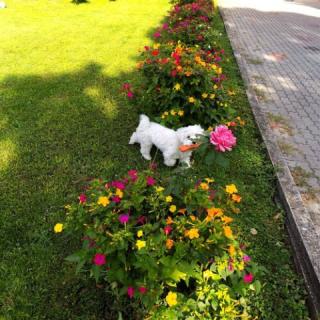 Aartház, 4 szoba 8 férőhely