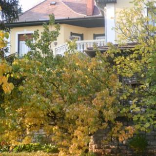 Ambrózia Villa, 1 apartman 7 férőhely