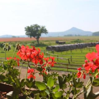 Csobánci Pihenő Vendégház, 4 szoba 14 férőhely