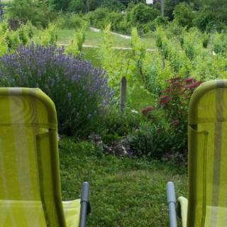 Zöldveréb Vendégház, 2 szoba 4 férőhely