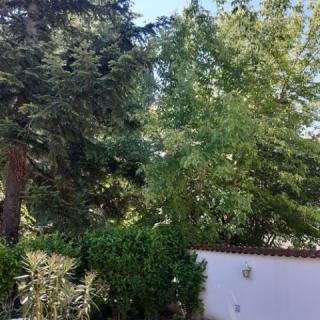 Villa Viola, 1 apartman 5 férőhely