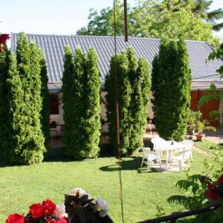 Papp Vendégház, 6 szoba 15 férőhely