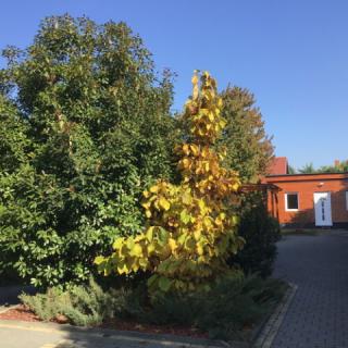 Drávecz Apartman, 5 apartman 14 férőhely