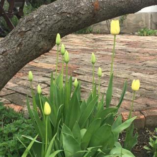 Szinyei Vendégház, 2 szoba 4 férőhely