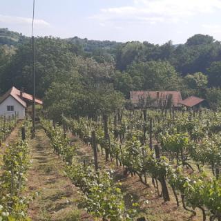 Meduna Vendégház, 3 szoba 6 férőhely