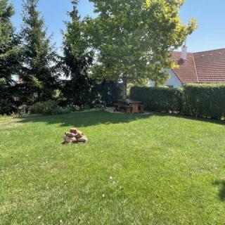 Csaba Apartman, 2 apartman 10 férőhely