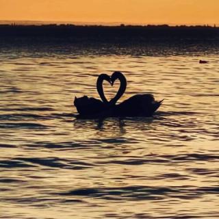 Butik Apartman, 1 apartman 4 férőhely