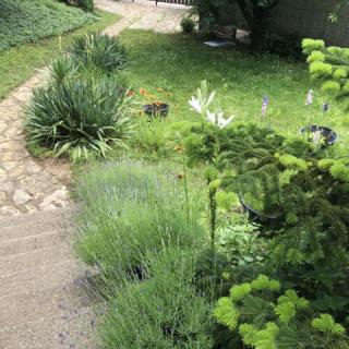 Panorámás Partmenti Apartman, 1 apartman 4 férőhely