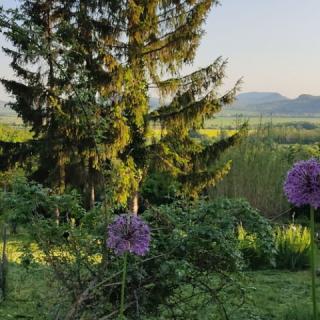 Öreghegy Vendégház, 3 szoba 6 férőhely