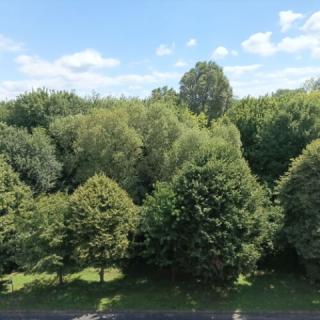 Szügyi Apartman, 1 apartman 4 férőhely