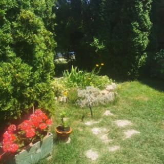 Kaméleon Apartmanház, 1 apartman 4 férőhely