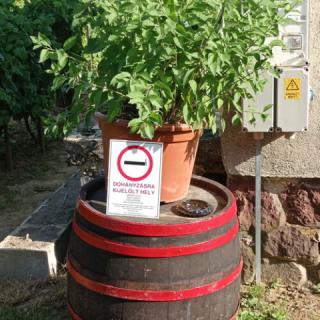 Éva Vendégház, 1 szoba 2 férőhely