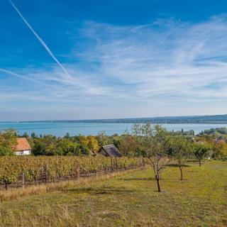 Gejzír Vendégház, 2 szoba 4 férőhely