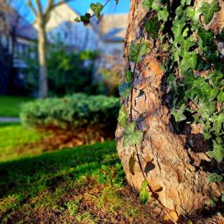 Füge Villa Luxury Wellness, 5 szoba 16 férőhely