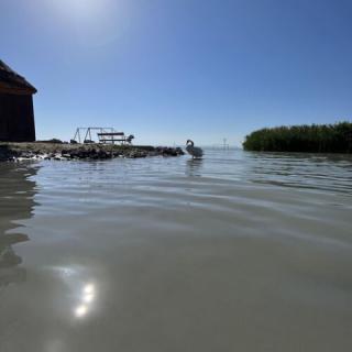 SzaSza Apartman, 4 apartman 10 férőhely