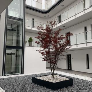 Royal Perl Apartman, 1 apartman 4 férőhely