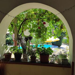 Amadeus Panzió, 6 szoba 16 férőhely