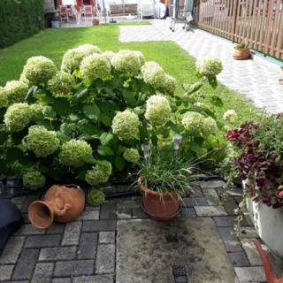 Balatoniapartmanház, 1 apartman 8 férőhely