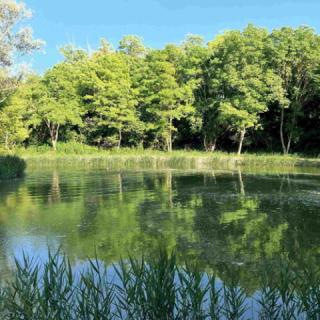 Kökényház Vendégház, 3 szoba 6 férőhely