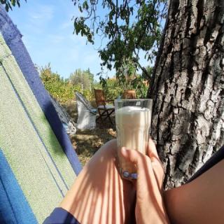 Kismadár Vendégház, 2 szoba 2 férőhely