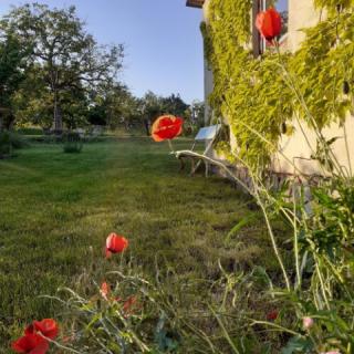 Kismadár Vendégház, 2 szoba 2 férőhely