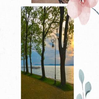 Lótusz Apartman, 1 apartman 2 férőhely