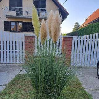 Oázis Apartman, 1 apartman 4 férőhely